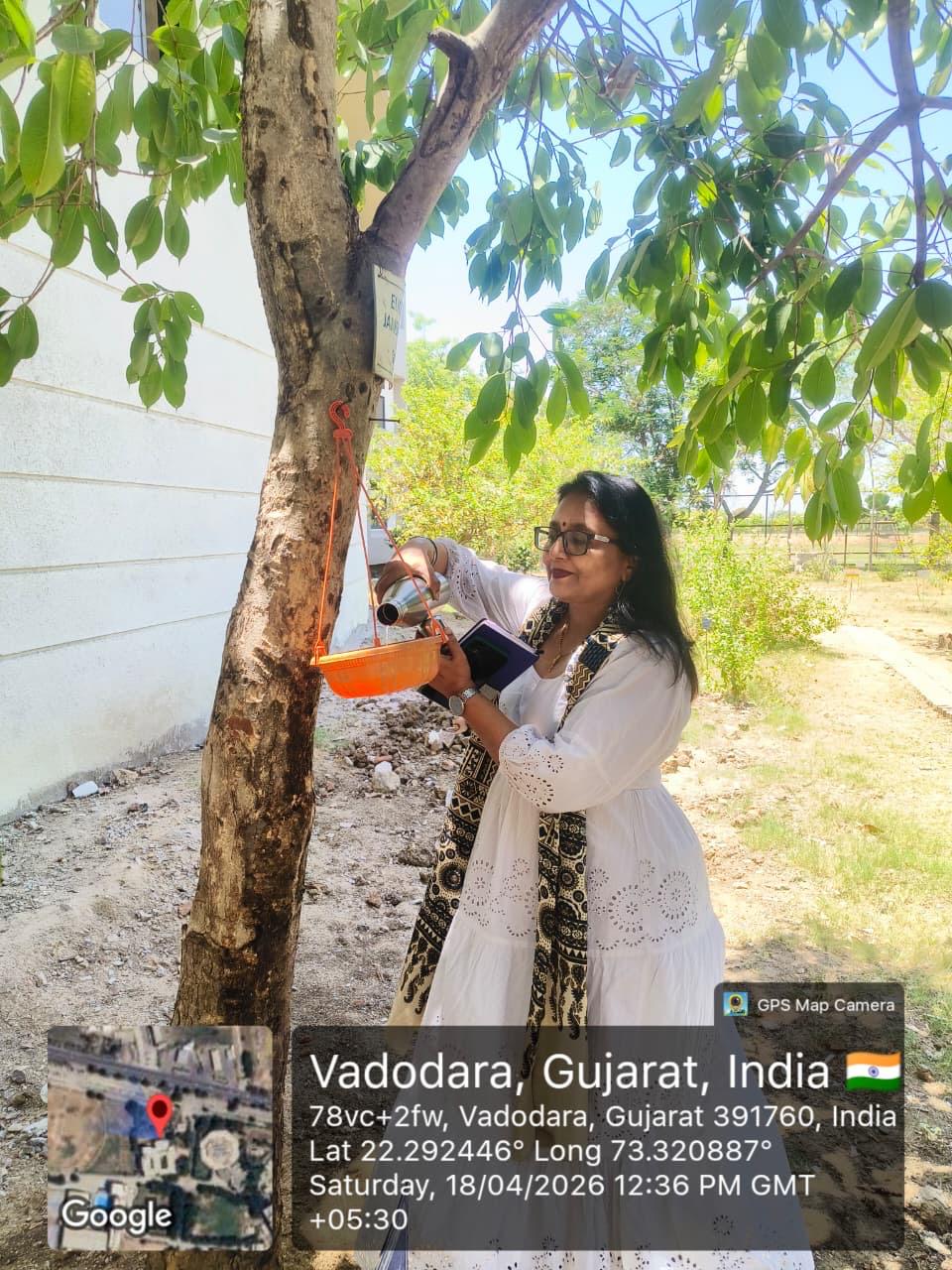 Drinking Water for Birds